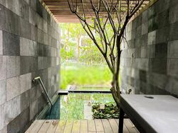 The Visionaire (D27), Condominium #582336401